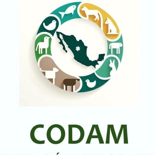 CODAM